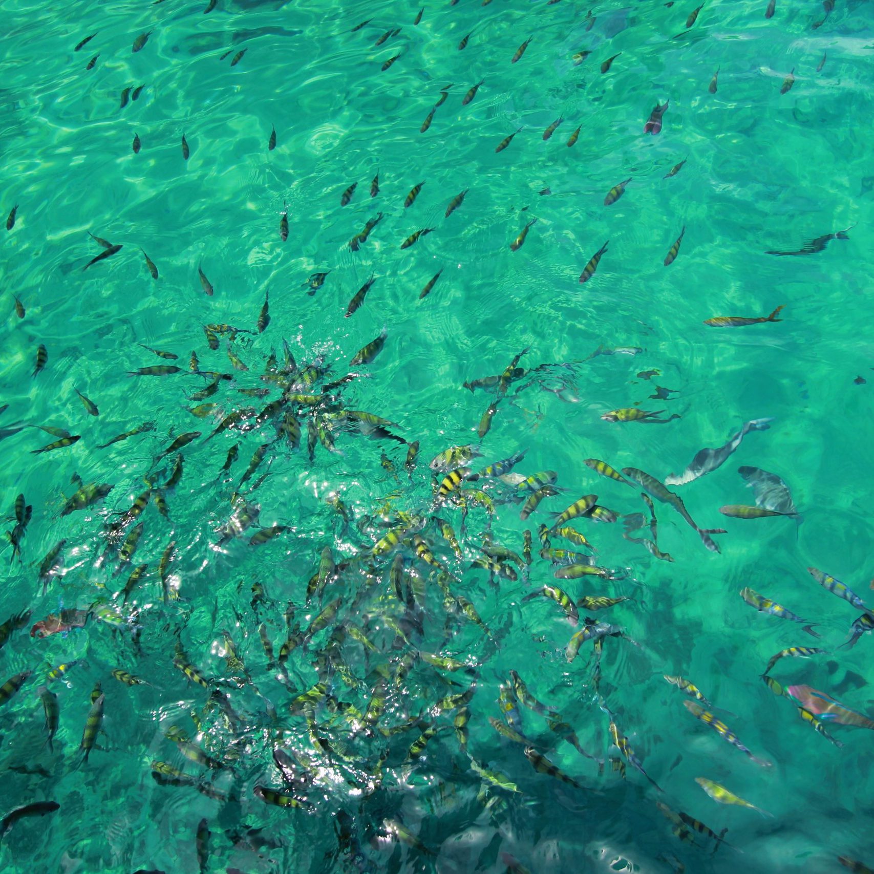 เที่ยวเกาะที่กระบี่