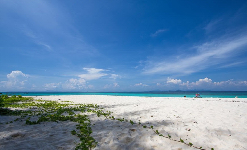 bamboo เที่ยวภูเก็ต 2 วัน 1 คืน ตะลุยทะเลอันดาม